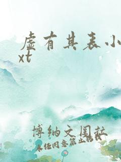 虚有其表小说txt