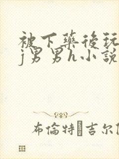 被下药后玩弄迷j男男h小说