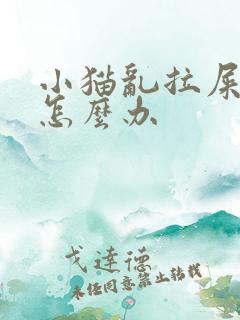 小猫乱拉屎拉尿怎么办