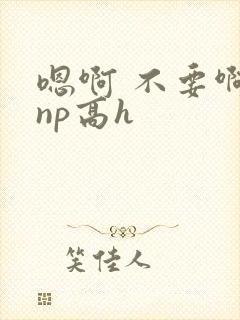 嗯啊 不要啊 np高h