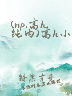 (np,高h,纯肉)高h小说