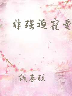 非强迫宠爱