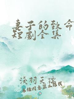 妻子的致命谎言短剧全集