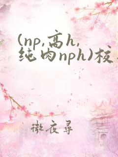 (np,高h,纯肉nph)校园
