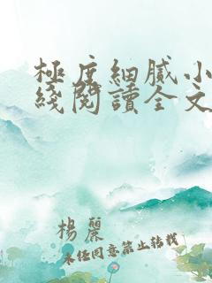 极度细腻小说在线阅读全文