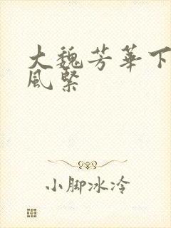 大魏芳华下载西风紧