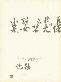 小说 《我真不是女装大佬》