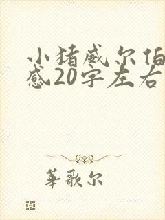 小猪威尔伯读后感20字左右