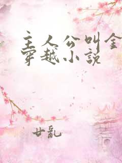 主人公叫金锋的穿越小说