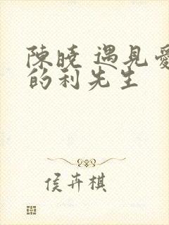陈晓 遇见爱情的利先生