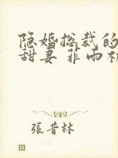 隐婚总裁的绯闻甜妻 菲雨初情
