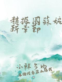赵振国苏婉清最新章节