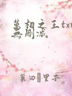 万相之王txt无删减
