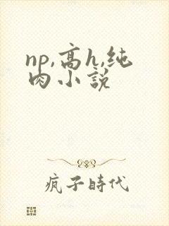 np,高h,纯肉小说