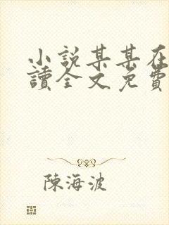 小说某某在线阅读全文免费