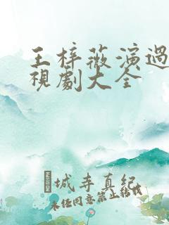 王梓薇演过的电视剧大全