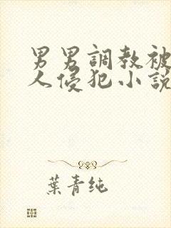 男男调教被透明人侵犯小说