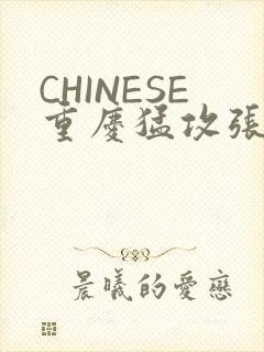 CHINESE重庆猛攻张先生