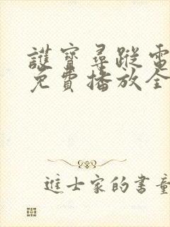 护宝寻踪电视剧免费播放全集