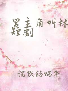 男主角叫林凡的短剧