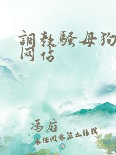调教骚母狗视频网站