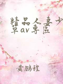 精品人妻少妇嫩草av专区