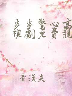 步步惊心高清电视剧免费观看
