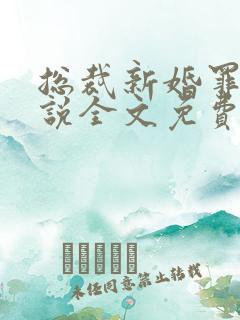 总裁新婚罪妻小说全文免费阅读全文