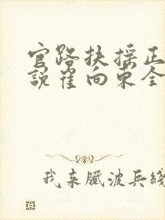官路扶摇正版小说崔向东全文阅读