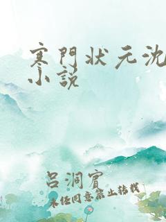 寒门状元沈溪的小说