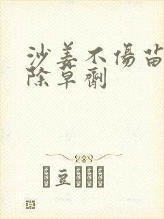 沙姜不伤苗专用除草剂