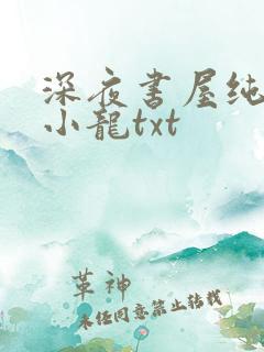 深夜书屋纯洁滴小龙txt