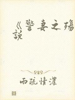 《警妻之殇》小说