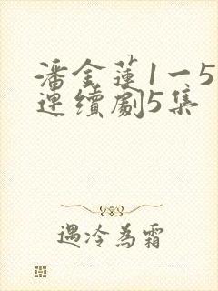 潘金莲1一5集连续剧5集