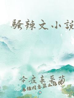 骚辣文小说h高