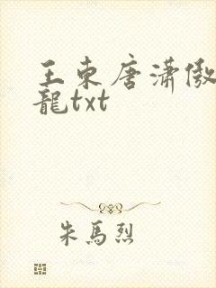 王东唐潇傲世潜龙txt