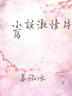 小说激情片段描写