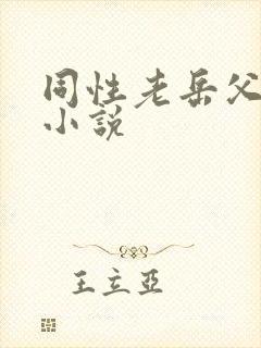 同性老岳父搞基小说
