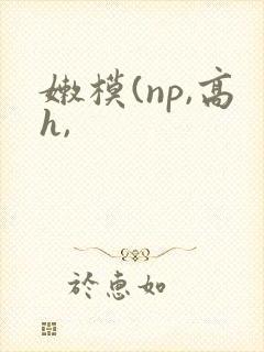 嫩模(np,高h,