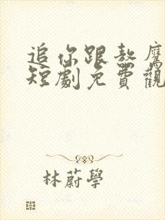 追你跟熬鹰似的短剧免费观看全集