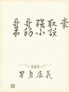 哥哥强取豪夺弟弟的小说