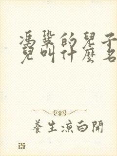 冯巩的儿子和女儿叫什么名字