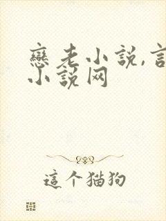 恋老小说,言情小说网