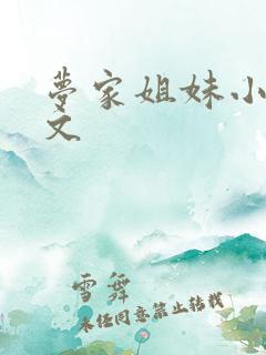 梦家姐妹小说全文
