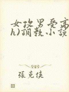 女攻男受高h(h)调教小说