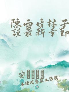 陈雨晴林子峰小说最新章节