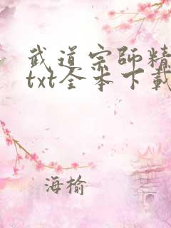 武道宗师精校版txt全本下载
