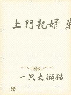 上门龙婿 叶凡