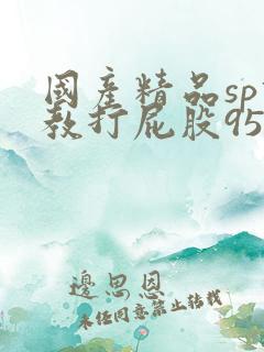国产精品sp调教打屁股95