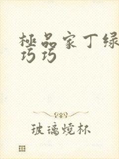 极品家丁绿帽版巧巧